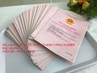 Đất Thổ Cư ven Khu công Nghiệp Bắc Giang giá chỉ 340 triệu/lô Đất Thổ Cư ven Khu công Nghiệp Bắc Giang giá chỉ 340 triệu/lô