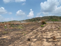 Bán đất mặt tiền Đường vượt cao tốc Phan Thiết Bán đất mặt tiền Đường vượt cao tốc Phan Thiết