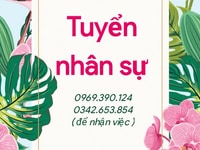 Cần gấp người phụ - ưu tiên nữ cao tuổi ( 20 - 55 tuổi ) Cần gấp người phụ - ưu tiên nữ cao tuổi ( 20 - 55 tuổi )