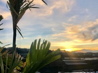 Nhượng lại căn nhà nghỉ dưỡng Xuân Thọ Đà Lạt Nhượng lại căn nhà nghỉ dưỡng Xuân Thọ Đà Lạt