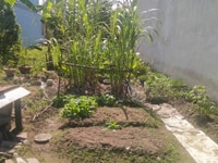 Cần bán Gấp miếng đất đẹp thổ cư giá rẻ Cần bán Gấp miếng đất đẹp thổ cư giá rẻ