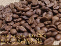 Cà phê Arabica Cầu Đất thượng hạng giá sỉ tại Thủ Dầu Một Bình Dương Cà phê Arabica Cầu Đất thượng hạng giá sỉ tại Thủ Dầu Một Bình Dương