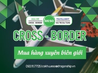 Giải pháp về nguồn hàng thông qua Mua hộ cross-border | Mua hộ Weso Giải pháp về nguồn hàng thông qua Mua hộ cross-border | Mua hộ Weso