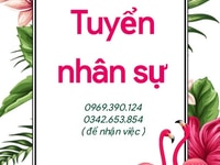 Khai chương siêu thị quận 11 - tuyển gấp Khai chương siêu thị quận 11 - tuyển gấp