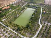 Đất sào, đất mẫu ven biển, sổ đỏ công chứng ngay Đất sào, đất mẫu ven biển, sổ đỏ công chứng ngay