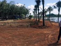 Bán gấp 800m2 đất ngay khu phố đại lợi thị trấn chơn thành giá 540 tr Bán gấp 800m2 đất ngay khu phố đại lợi thị trấn chơn thành giá 540 tr