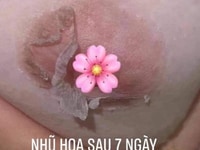 Chuyên Mi - NAIL - Khử Thâm Làm Hồng Toàn Thân Chuyên Mi - NAIL - Khử Thâm Làm Hồng Toàn Thân