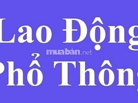 Tổng hợp bách hóa cần 04 nam nữ bán hàng đóng gói trực tiếp tại quầy Tổng hợp bách hóa cần 04 nam nữ bán hàng đóng gói trực tiếp tại quầy