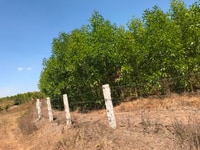Bán lô đất đường nhánh QL1A, khu dân cư, gần UBND Hàm Thuận Bắc Bán lô đất đường nhánh QL1A, khu dân cư, gần UBND Hàm Thuận Bắc