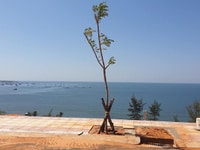 Bán lô đất Biệt Thự view biển, gần hồ bơi, công viên, bãi tắm riêng. Bán lô đất Biệt Thự view biển, gần hồ bơi, công viên, bãi tắm riêng.