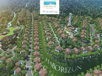Đất biệt thự mini trên đồi view biển Haborizon giá chỉ từ 14tr/m2 Đất biệt thự mini trên đồi view biển Haborizon giá chỉ từ 14tr/m2