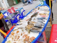 Tuyển Gấp 5 Phục Vụ cho quán nhậu (có thể làm part time) Tuyển Gấp 5 Phục Vụ cho quán nhậu (có thể làm part time)