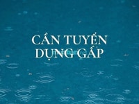 Cửa hàng cần tuyển nhân Viên tạp vụ và bán hàng tại cửa hàng Cửa hàng cần tuyển nhân Viên tạp vụ và bán hàng tại cửa hàng
