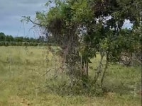 Cần bán lô đất nông nghiệp bắc bình bình thuận Cần bán lô đất nông nghiệp bắc bình bình thuận