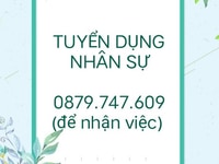 Tuyển dụng nhân sự : từ 20 - 60(ưu tiên nữ ) Tuyển dụng nhân sự : từ 20 - 60(ưu tiên nữ )
