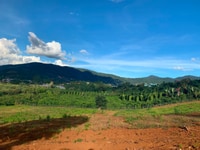 Bán gấp miếng đất view săn mây gần Đà Lạt giá 900 triệu Bán gấp miếng đất view săn mây gần Đà Lạt giá 900 triệu