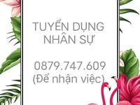 Cần tuyển gấp ! Làm việc lâu dài từ 25 tuổi trở lên ( ưu tiên nữ) Cần tuyển gấp ! Làm việc lâu dài từ 25 tuổi trở lên ( ưu tiên nữ)