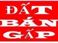 Mã số 11.95: BÁN ĐẤT (6m x 49m) MẶT TIỀN QUỐC LỘ 50 tại Mỹ Tho Mã số 11.95: BÁN ĐẤT (6m x 49m) MẶT TIỀN QUỐC LỘ 50 tại Mỹ Tho