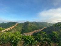 Cần bán 6 mẫu đất view đep ô tô tới vườn tp Bảo Lộc Cần bán 6 mẫu đất view đep ô tô tới vườn tp Bảo Lộc