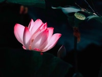 Nhận Tư Vấn Vay Vốn Ngân Hàng, Lãi Suất ưu đãi 8%/năm Nhận Tư Vấn Vay Vốn Ngân Hàng, Lãi Suất ưu đãi 8%/năm