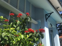 Bán nhà Phường Thảo Điền Q2. DT: 6 x 20m, bán 17 tỷ Bán nhà Phường Thảo Điền Q2. DT: 6 x 20m, bán 17 tỷ