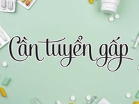 Cần gấp các bạn nam nữ từ 18 tuổi hỗ trợ trong cửa hàng Cần gấp các bạn nam nữ từ 18 tuổi hỗ trợ trong cửa hàng