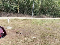 Bán gấp lô đất ngay ấp 6 xã Nha Bích-sổ hồng riêng Bán gấp lô đất ngay ấp 6 xã Nha Bích-sổ hồng riêng