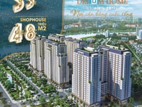 DreamHome- Tầng 5-24, View Sông, Căn 2PN-56m2, Giá 1.8 tỷ, Trả 6.5% DreamHome- Tầng 5-24, View Sông, Căn 2PN-56m2, Giá 1.8 tỷ, Trả 6.5%