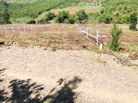 Chuyển về Bắc nên cần sang lại vườn cây ăn trái view sông Bảo Lộc 600t Chuyển về Bắc nên cần sang lại vườn cây ăn trái view sông Bảo Lộc 600t
