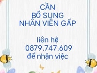 Tuyển gấp nhân viên tư vấn, bán hàng tại siêu thị mini Tuyển gấp nhân viên tư vấn, bán hàng tại siêu thị mini