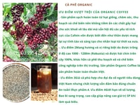 Cung cấp cà phê hạt organic tại thị trường Tp HCM Cung cấp cà phê hạt organic tại thị trường Tp HCM