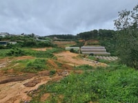 1187m2 đất bằng thoáng xuân thọ cách đường chính chỉ 70m2 1187m2 đất bằng thoáng xuân thọ cách đường chính chỉ 70m2
