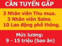 Cần tuyển nhân viên thu mua, sale, Lao động phổ thông lương 9-15 triệu