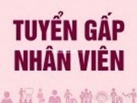 Cần tuyển nhân viên bán hàng siêu thị mini Cần tuyển nhân viên bán hàng siêu thị mini