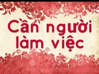 Cần người bán hàng thưc phẩm sạch tại đà nẵng Cần người bán hàng thưc phẩm sạch tại đà nẵng