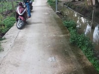 🌴Bán Nền Đất Có Thổ Cư Phía Sau KCN Giao Long 116m2🌴 🌴Bán Nền Đất Có Thổ Cư Phía Sau KCN Giao Long 116m2🌴