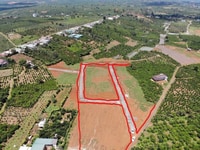 Đất Bảo Lộc thổ cư sổ sẵn 1000m2 Chợ cũ Lộc An đường nhựa Đất Bảo Lộc thổ cư sổ sẵn 1000m2 Chợ cũ Lộc An đường nhựa
