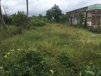 Bán lô đất 2400m2 hương lộ Mỹ Bình huyện Tân Trụ tỉnh Long An Bán lô đất 2400m2 hương lộ Mỹ Bình huyện Tân Trụ tỉnh Long An