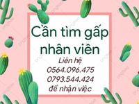 Tuyển nhân Viên bán hàng siêu thị Tuyển nhân Viên bán hàng siêu thị
