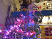 Do di chuyển vào SG nên cần bán nhà. Mới xây đẹp chắc chắn do xây để ở Do di chuyển vào SG nên cần bán nhà. Mới xây đẹp chắc chắn do xây để ở