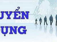 Siêu Thị Mini -Tuyển Dụng Vị Trí: Bán Hàng, Sắp xếp hàng ( 02 nam/nữ ) Siêu Thị Mini -Tuyển Dụng Vị Trí: Bán Hàng, Sắp xếp hàng ( 02 nam/nữ )