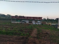 6000m2 trang trại trồng rau sạch mặt tiền đường bê tông xã xuân bảo 6000m2 trang trại trồng rau sạch mặt tiền đường bê tông xã xuân bảo
