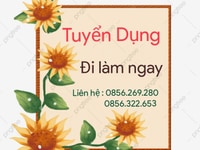 💥Ưu tiên ai liên hệ sớm nhất ( Trung thực và chịu khó ) 💥Ưu tiên ai liên hệ sớm nhất ( Trung thực và chịu khó )