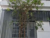 Cần tiền bán nhà HXH Phú Thọ Hòa, Tân Phú, 4,2x10m, 4,150 tỷ Cần tiền bán nhà HXH Phú Thọ Hòa, Tân Phú, 4,2x10m, 4,150 tỷ