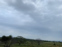 Cần bán đất nông nghiệp Hồng Thái 5647m2 có đường đi trên sổ . Cần bán đất nông nghiệp Hồng Thái 5647m2 có đường đi trên sổ .