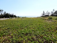 Bán đất biển du lịch giá rẻ gần Novaland, TP. Phan Thiết Bán đất biển du lịch giá rẻ gần Novaland, TP. Phan Thiết