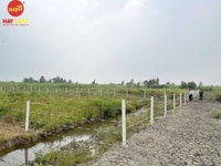 1460m2 Đất Trồng Cây, Mặt Tiền Đường Thống Nhất Nối Dài 1460m2 Đất Trồng Cây, Mặt Tiền Đường Thống Nhất Nối Dài