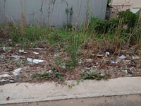 Nền Đẹp Giá Rẻ Tp. Long Xuyên. Nền Đẹp Giá Rẻ Tp. Long Xuyên.