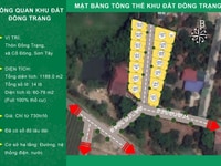 Chính chủ cần tiền bán lô đất thổ cư tại Đồng Trạng Cổ Đông Sơn Tây Chính chủ cần tiền bán lô đất thổ cư tại Đồng Trạng Cổ Đông Sơn Tây