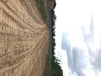 Bán 5,3 sào đường betong cách QL1A 300m giá 1,1 tỷ Bán 5,3 sào đường betong cách QL1A 300m giá 1,1 tỷ